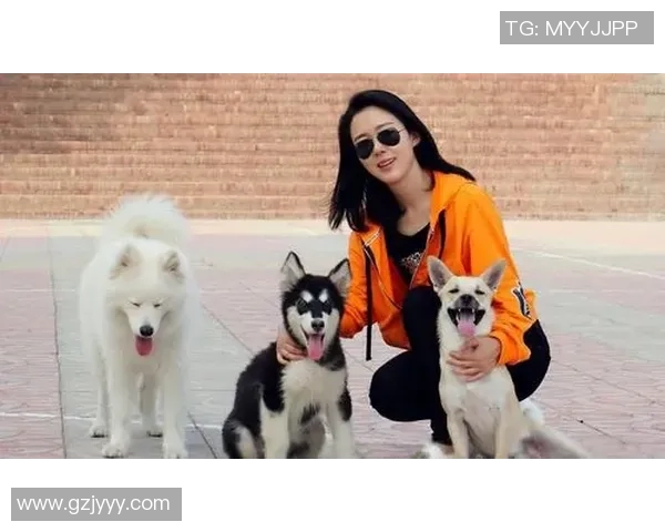 足球明星与他们心爱的狗狗们的温馨时刻与故事分享